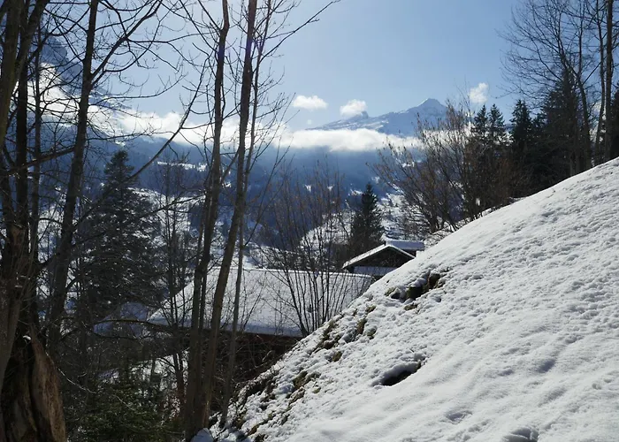 Colette - 2 By Interhome * Grindelwald