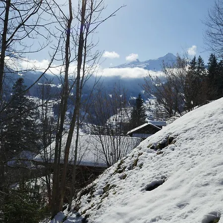 Colette - 2 By Interhome * Grindelwald